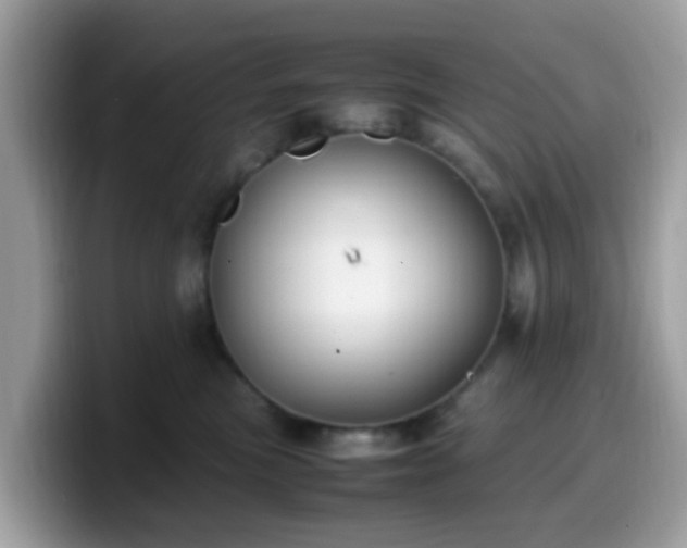 X0000099980473200805301357