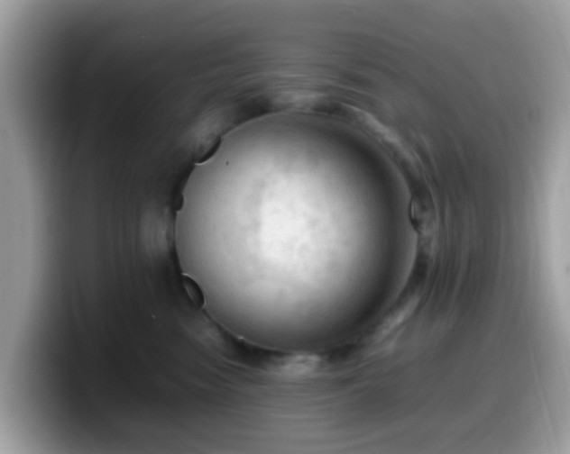 X0000099980474200805301357