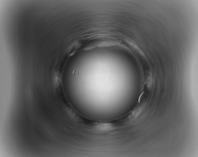 X0000099980476200805301357