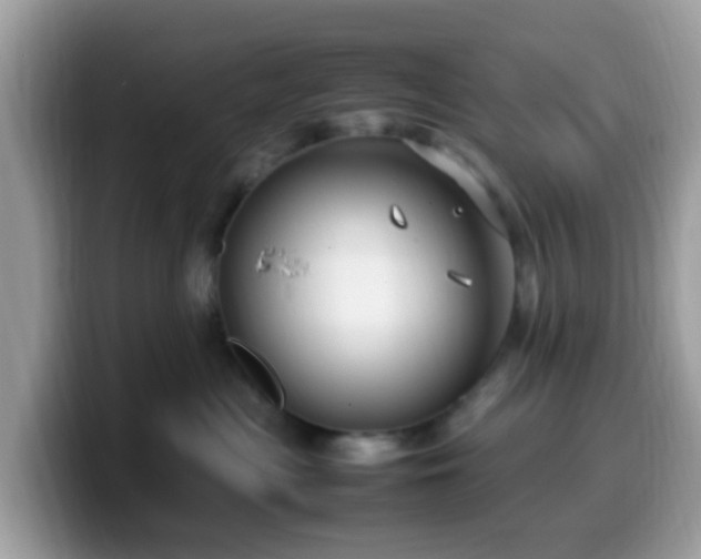 X0000099980477200805301357