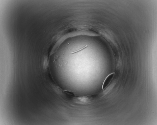 X0000099980478200805301357