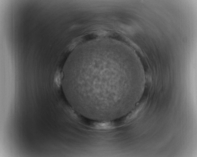 X0000099980479200805301357