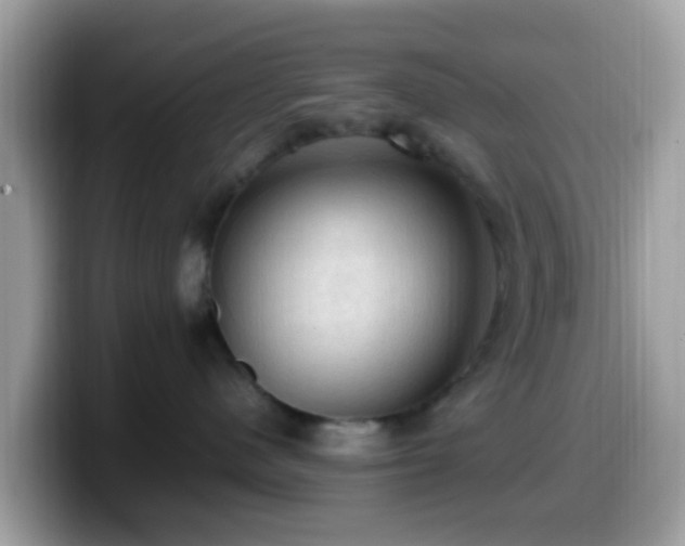 X0000099980480200805301357