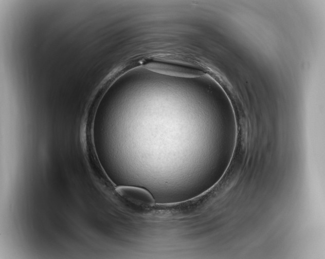 X0000099980482200805301356