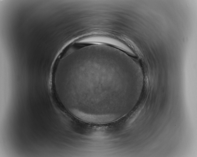 X0000099980484200805301356