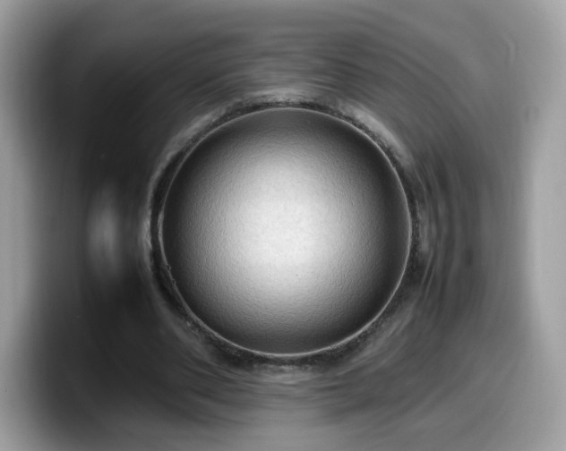 X0000099980486200805301356