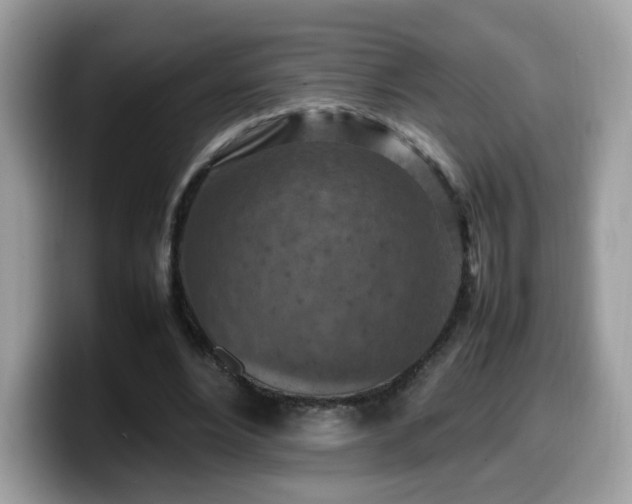 X0000099980488200805301356