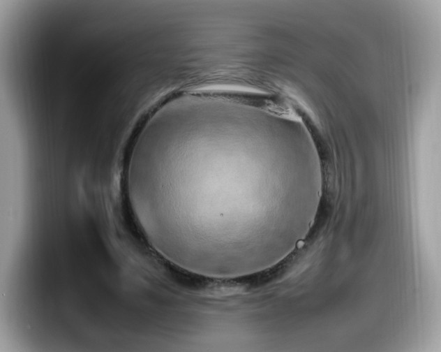 X0000099980491200805301356