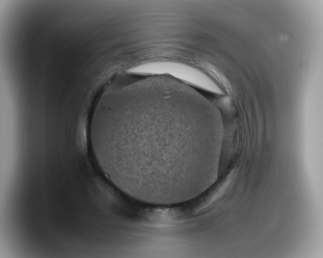 X0000099980493200805301356