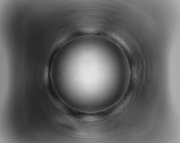 X0000099980494200805301356