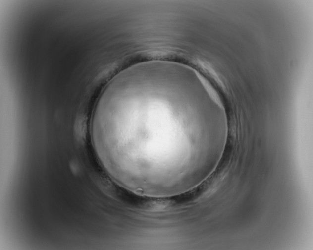 X0000099980495200805301356