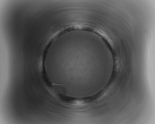 X0000099980496200805301356