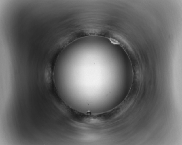 X0000099980498200805301356