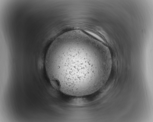 X0000099980499200805301356