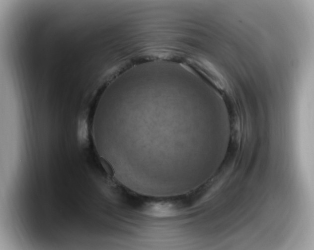 X0000099980500200805301356