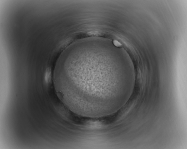 X0000099980502200805301356