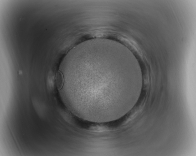 X0000099980503200805301356