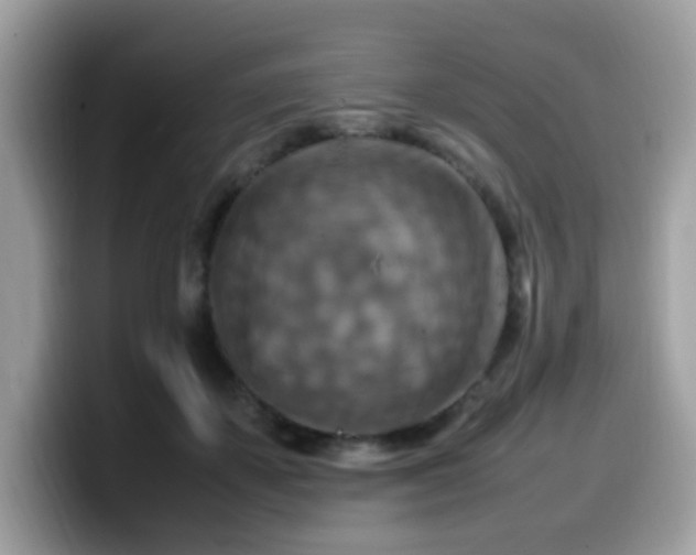 X0000099980507200805301356