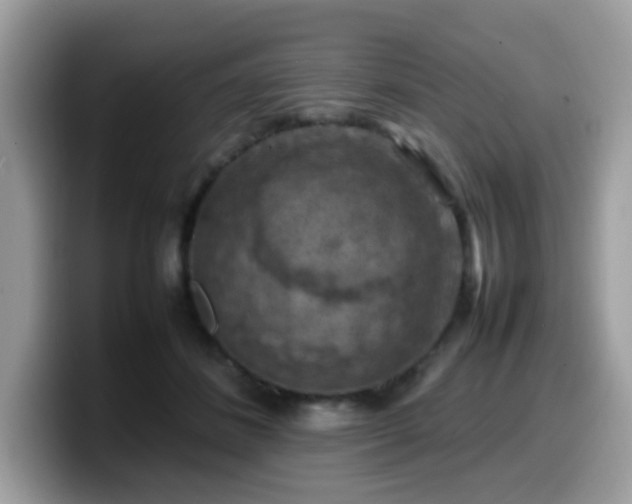 X0000099980508200805301356