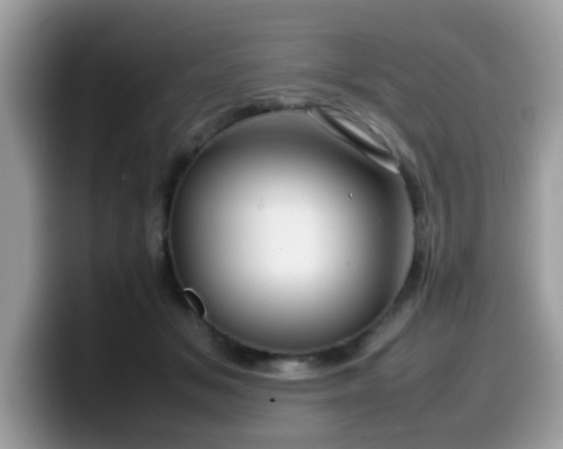 X0000099980509200805301356