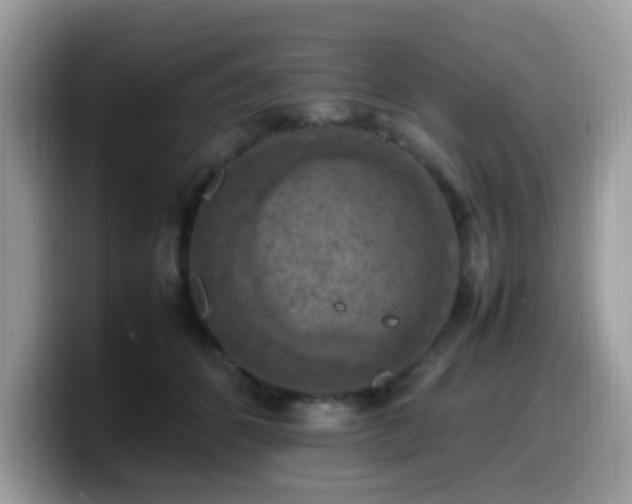 X0000099980512200805301356