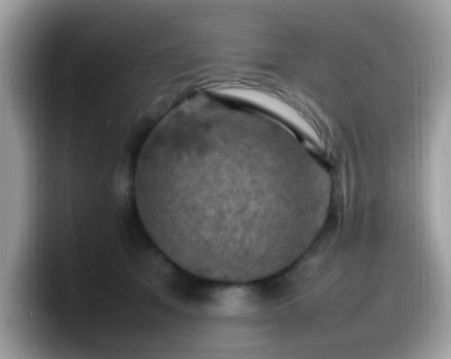 X0000099980513200805301356