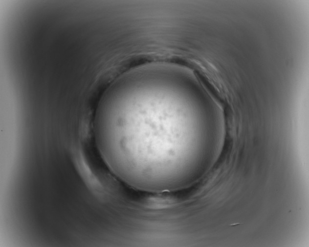 X0000099980515200805301356