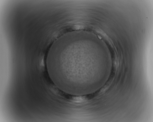 X0000099980516200805301356