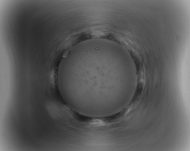 X0000099980519200805301356