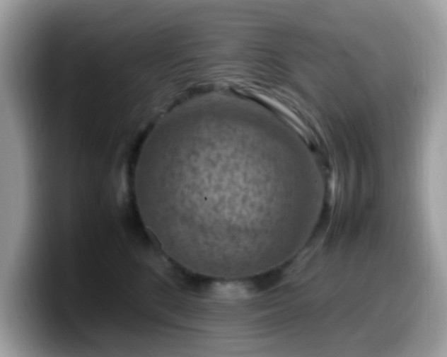 X0000099980520200805301356