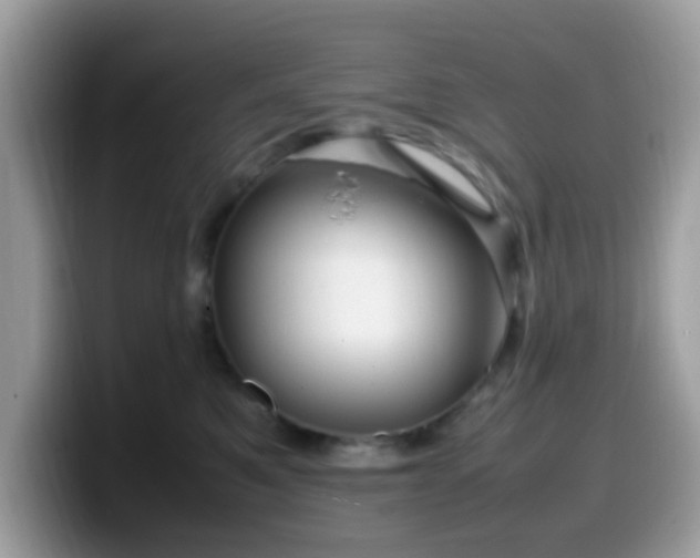 X0000099980521200805301356