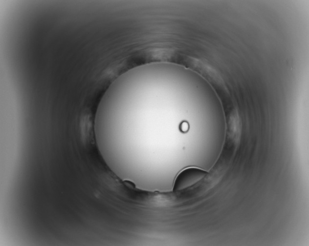 X0000099980522200805301356