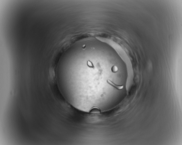 X0000099980523200805301356