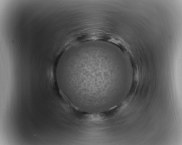 X0000099980524200805301356