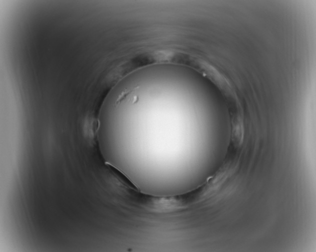 X0000099980525200805301356