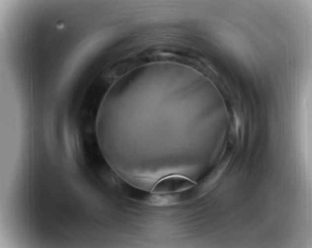 X0000099980526200805301356