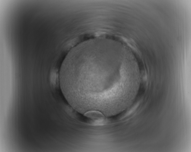 X0000099980527200805301356