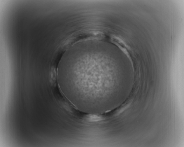 X0000099980528200805301356