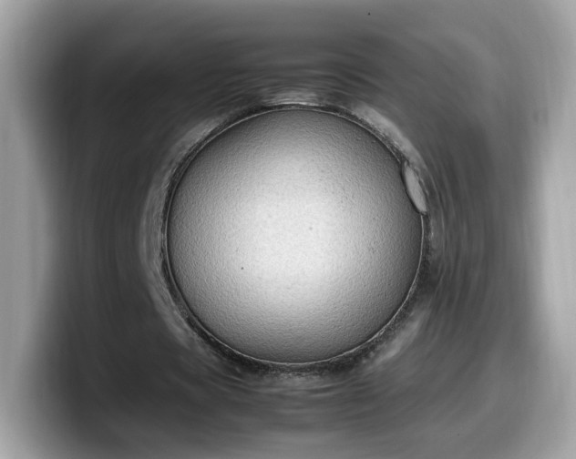 X0000099980529200805301355