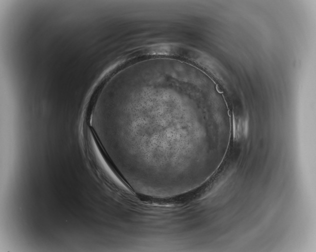 X0000099980531200805301355