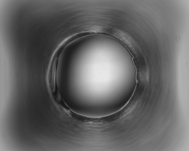 X0000099980532200805301355