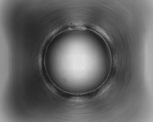 X0000099980538200805301355