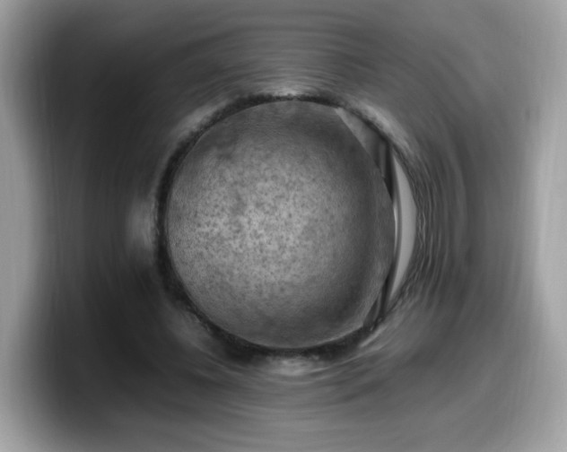 X0000099980540200805301355