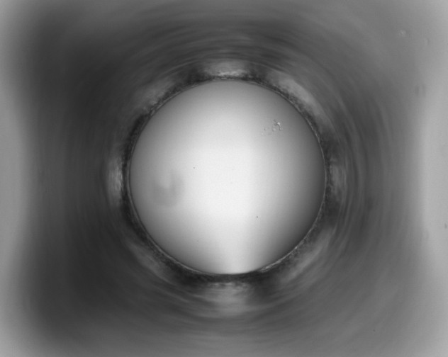 X0000099980541200805301355