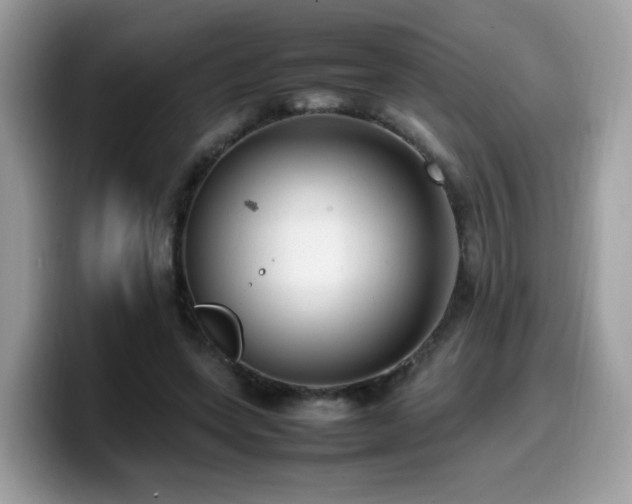 X0000099980543200805301355