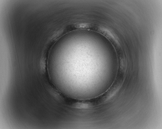 X0000099980545200805301355