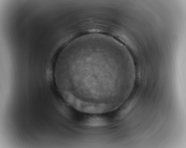 X0000099980547200805301355