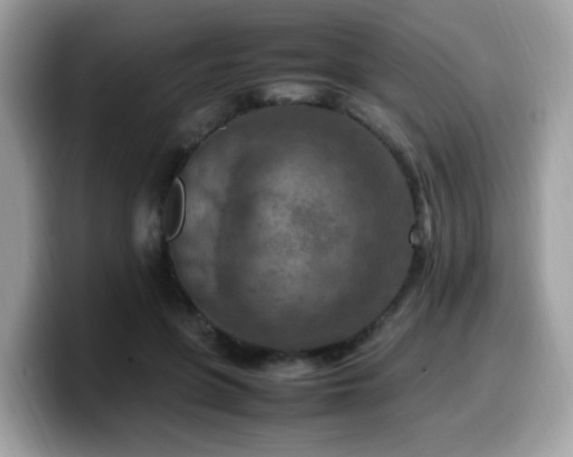 X0000099980551200805301356