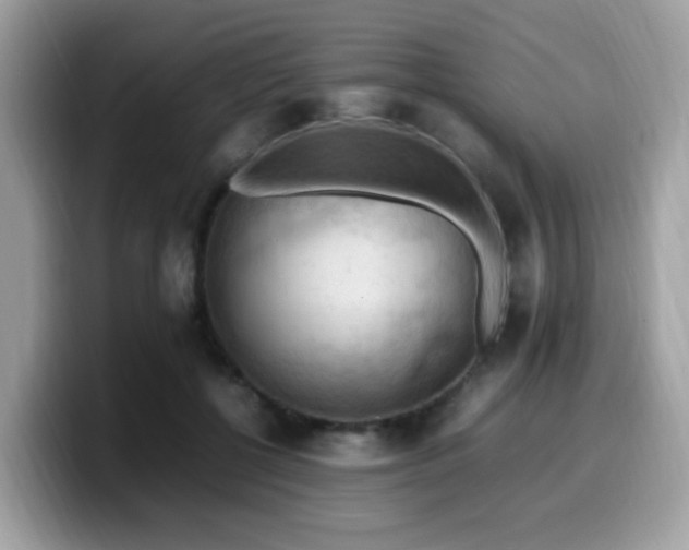 X0000099980552200805301356