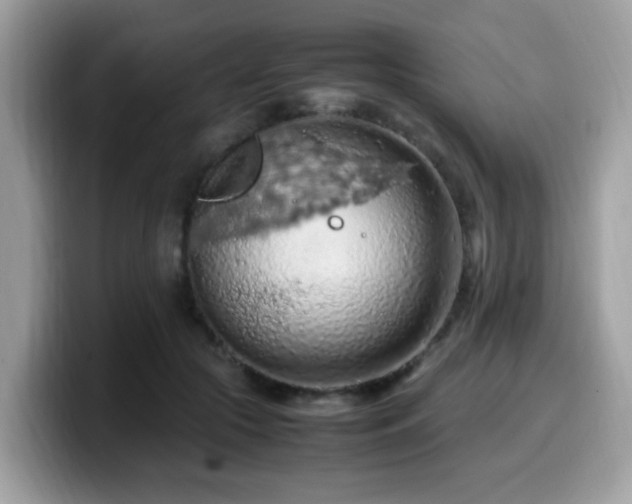 X0000099980553200805301356